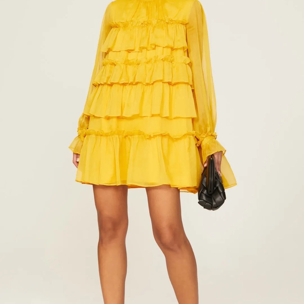 Adam Lippes x RTR Tiered ruffle dress size: 6 - Picture 4 of 11